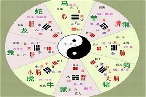 东五行|东字的五行属性